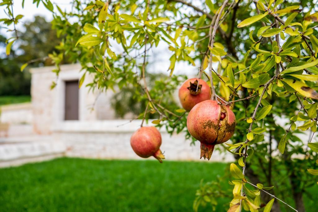 Masseria Paretano Villa Alberobello Dış mekan fotoğraf